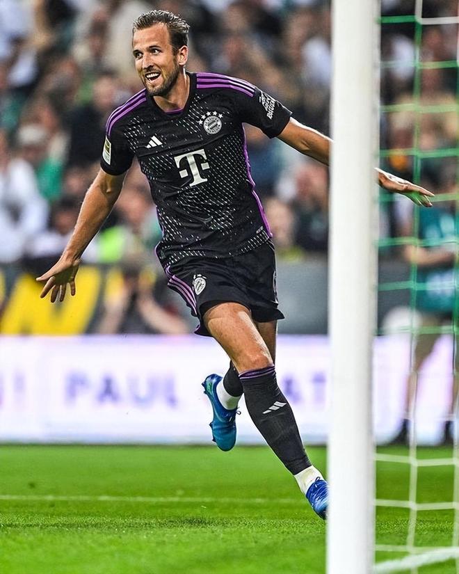 鹿的竞争力 鹿的竞争力